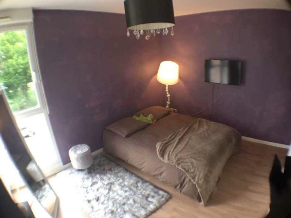 Le Topaze Apartment Colmar Exterior foto